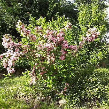 I Pioppi Cipressini Bed & Breakfast