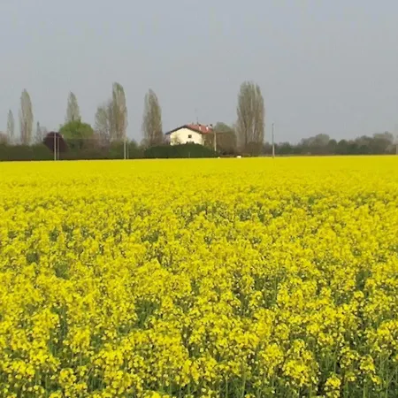 Oda ve Kahvaltı I Pioppi Cipressini 3*