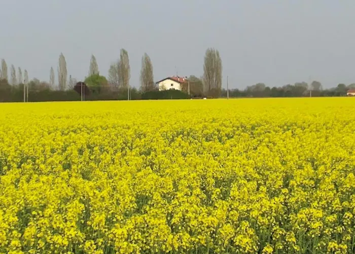 I Pioppi Cipressini 3* Crevalcore