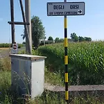 I Pioppi Cipressini