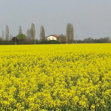 I Pioppi Cipressini 3* Crevalcore