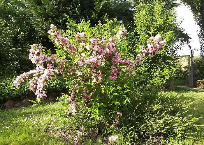 住宿加早餐酒店 I Pioppi Cipressini Crevalcore