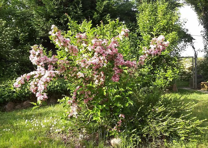 I Pioppi Cipressini Panzió