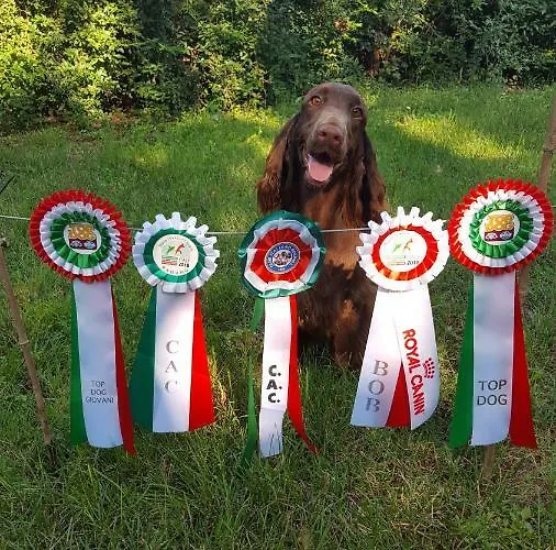 I Pioppi Cipressini 住宿加早餐酒店